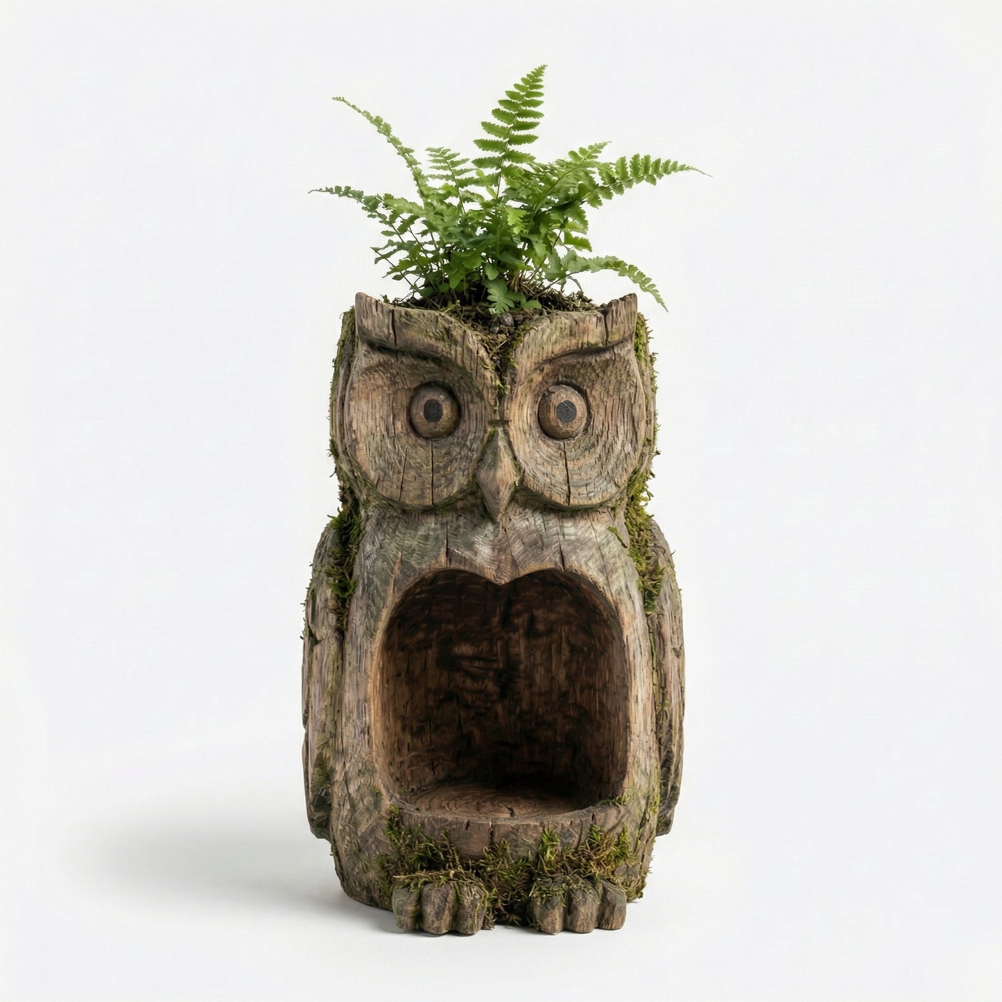 Baslayer™The Quiet Watcher  - Owl Watcher Feeder--8inch